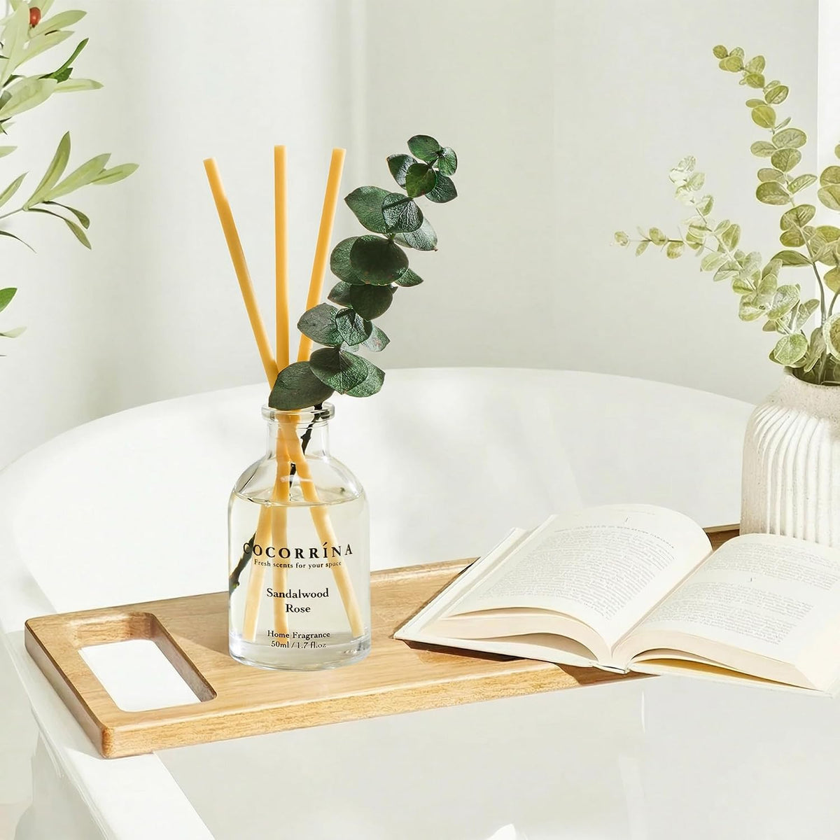 Reed Diffuser Set of 3 with Dried Eucalyptus for Home & Office