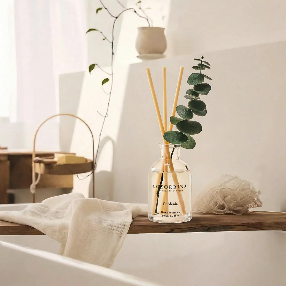 Reed Diffuser Set of 3 with Dried Eucalyptus for Home & Office