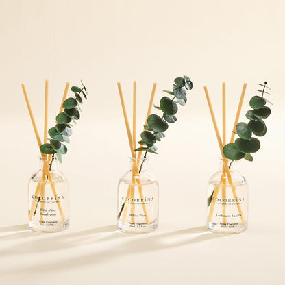 Reed Diffuser Set of 3 with Dried Eucalyptus for Home & Office
