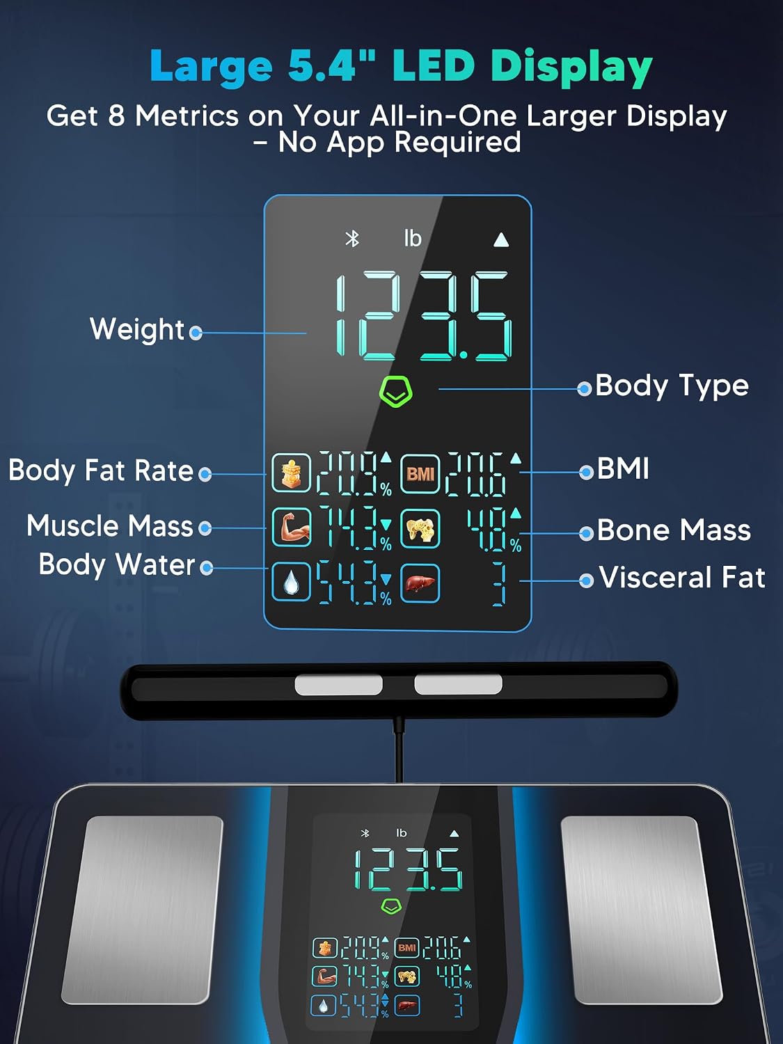 Scale for Body Weight, BMI, Body Fat, Muscle Mass, 5.4" Display