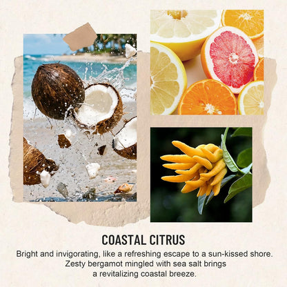 Reed Diffuser for Home, Coastal Citrus Scent Diffuser 2 Pack 8Fl Oz