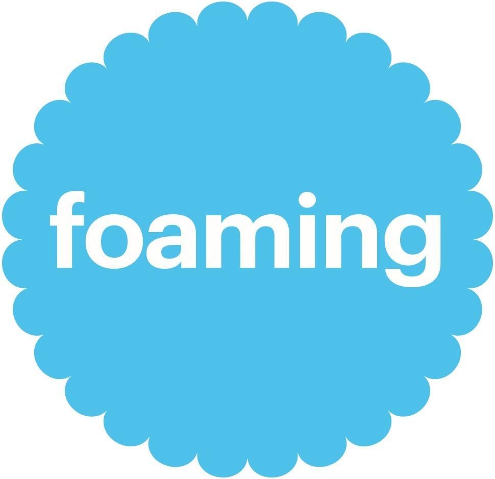 Alcohol-Free Foaming Hand Sanitizer, Pump Bottle, Fragrance Free, 8.45 oz