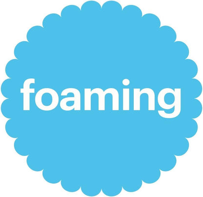 Alcohol-Free Foaming Hand Sanitizer, Pump Bottle, Fragrance Free, 8.45 oz