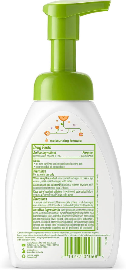 Alcohol-Free Foaming Hand Sanitizer, Pump Bottle, Fragrance Free, 8.45 oz