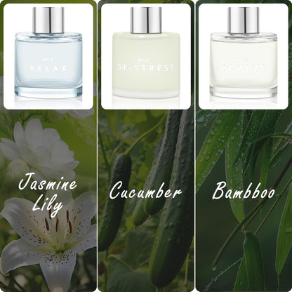 3 Pack Fragrance Reed Diffuser, 50ML Lavender Jasmine Lemongrass